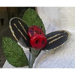 COCCINELLA