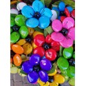 Anemone