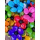 Anemone