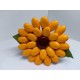 Girasole medio